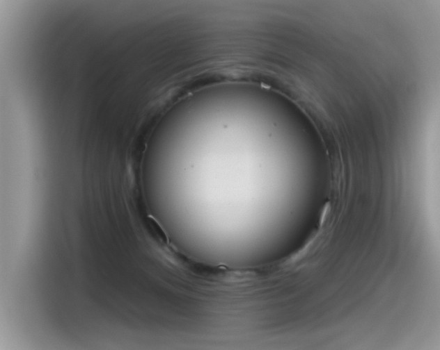 X0000115630128200911171343