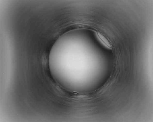 X0000115630129200911171343