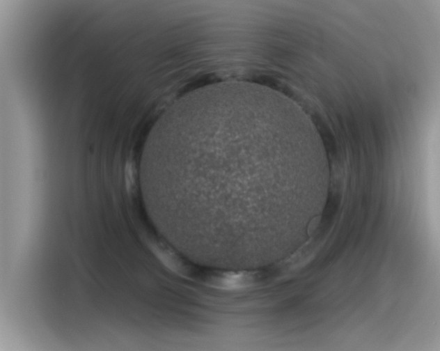 X0000115630130200911171343