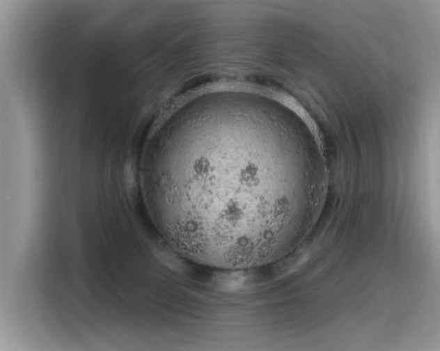 X0000115630131200911171343