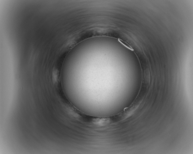 X0000115630135200911171343