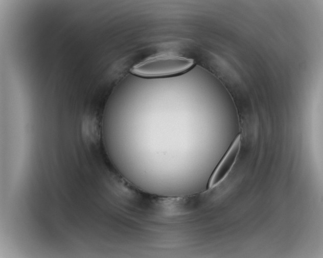 X0000115630136200911171343