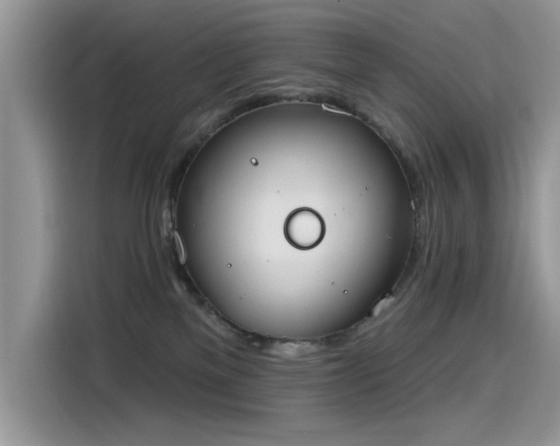 X0000115630137200911171343