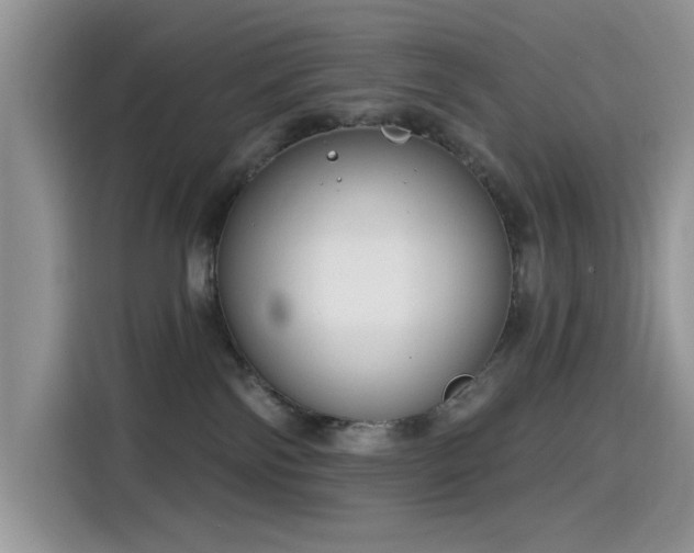 X0000115630138200911171343