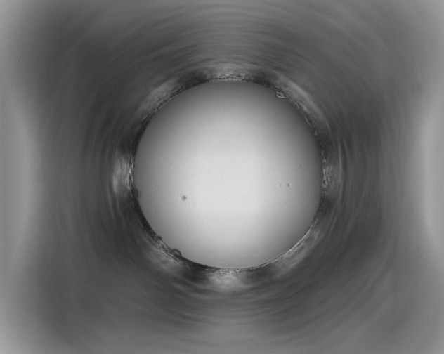 X0000115630142200911171343