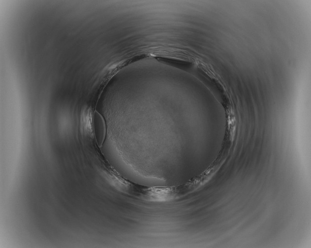 X0000115630143200911171343