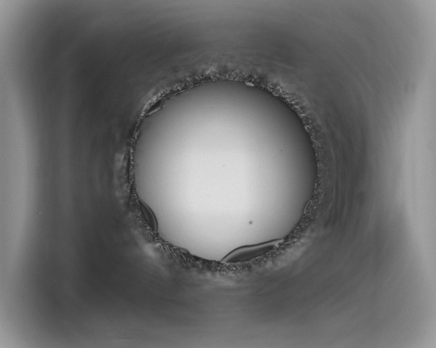 X0000115630144200911171343