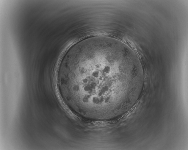 X0000115630145200911171343