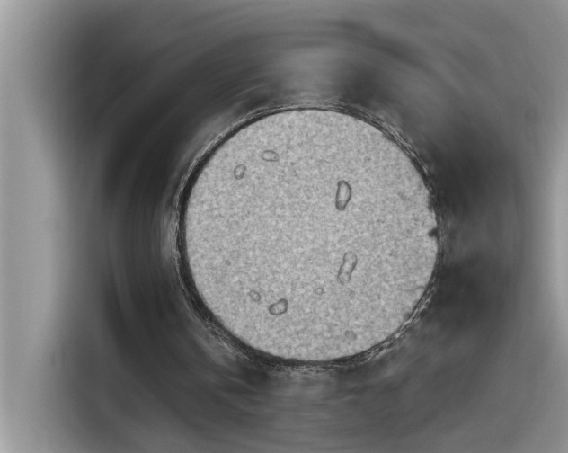 X0000115630146200911171343