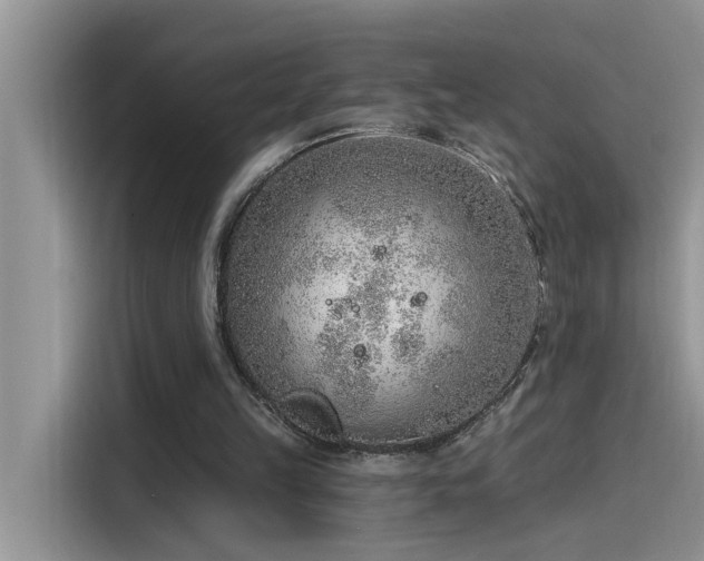 X0000115630149200911171343