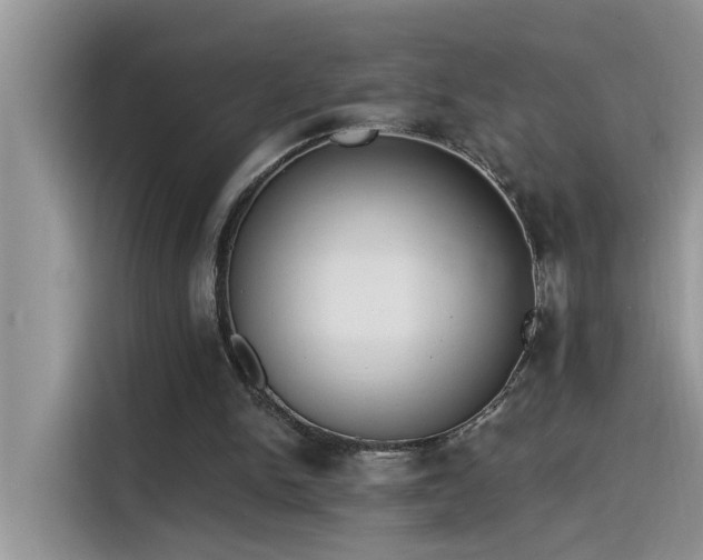 X0000115630150200911171343