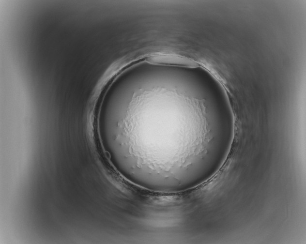 X0000115630151200911171343