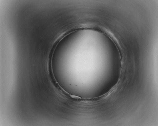 X0000115630154200911171343