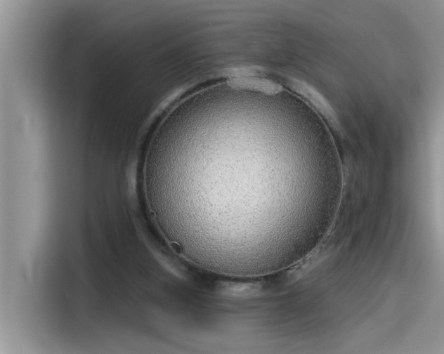 X0000115630155200911171343