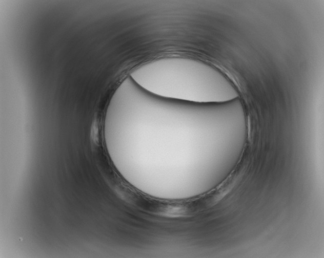 X0000115630157200911171343