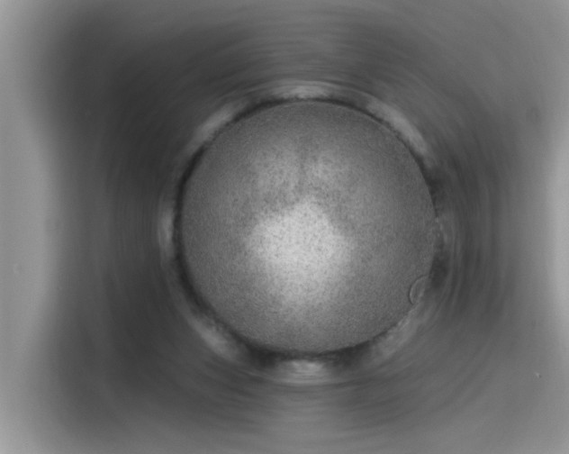 X0000115630159200911171343