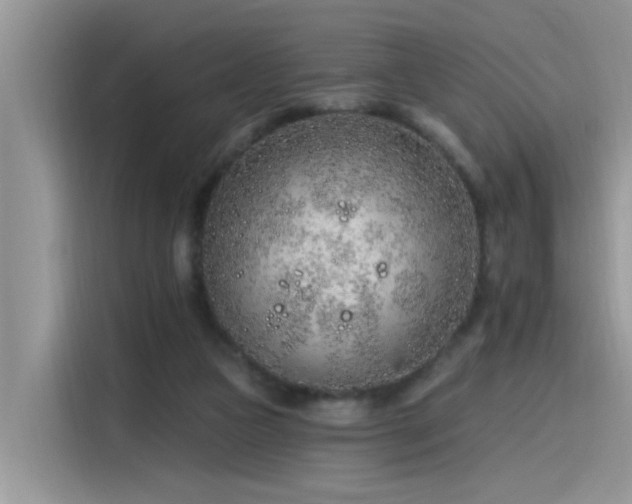 X0000115630161200911171343