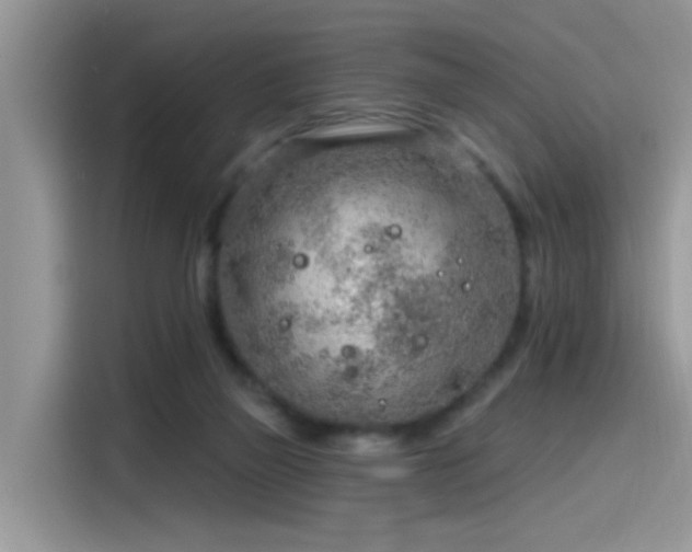 X0000115630165200911171343