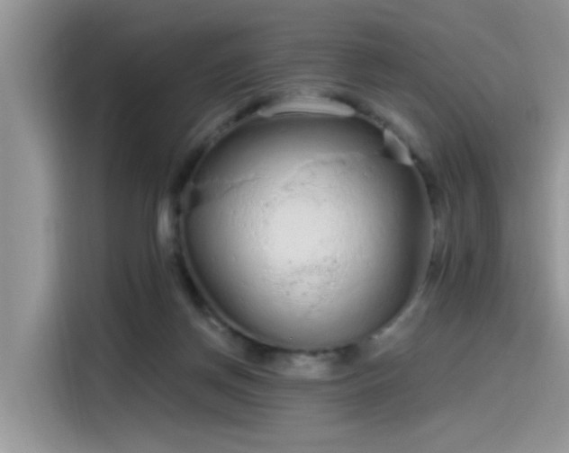 X0000115630166200911171343