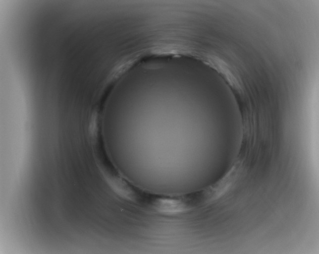 X0000115630167200911171343