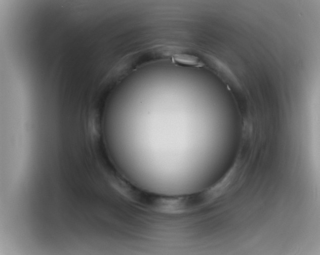 X0000115630170200911171343