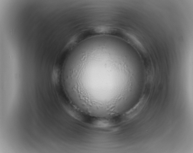 X0000115630171200911171343