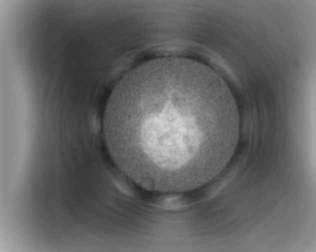 X0000115630173200911171343