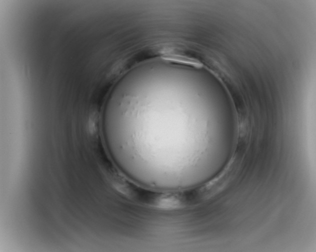 X0000115630175200911171343