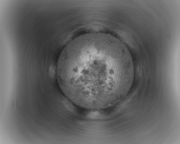 X0000115630177200911171343