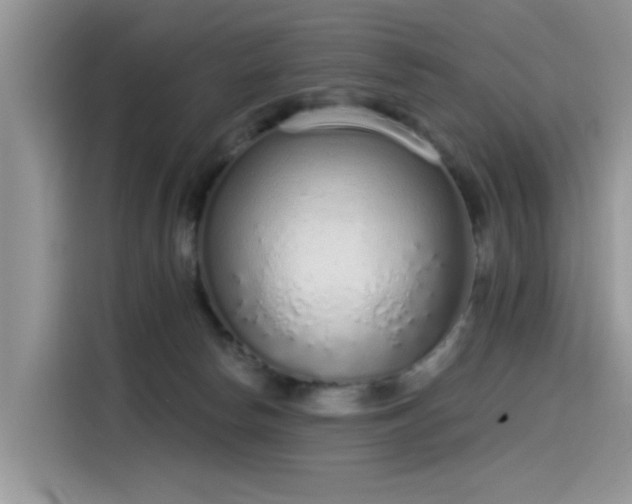 X0000115630178200911171343