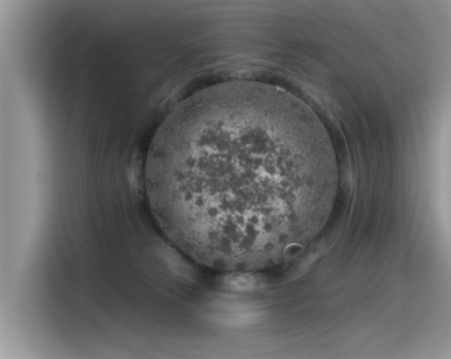 X0000115630181200911171343