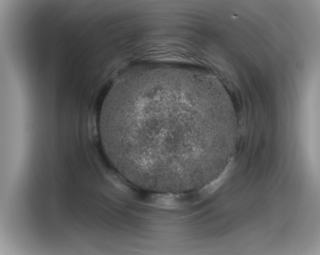 X0000115630182200911171343