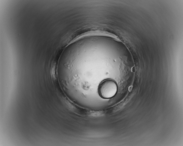 X0000115630185200911171343