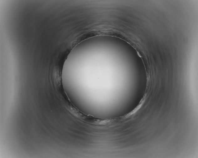 X0000115630186200911171343