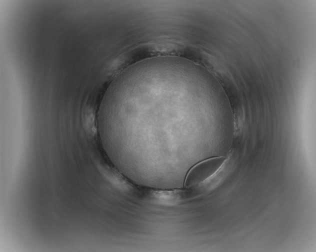 X0000115630187200911171343