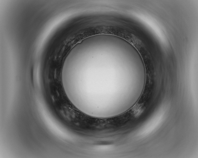 X0000115630189200911171343