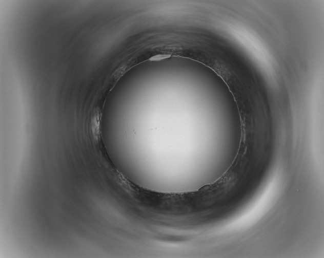 X0000115630190200911171343