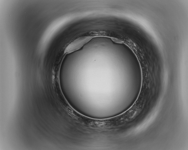 X0000115630194200911171343