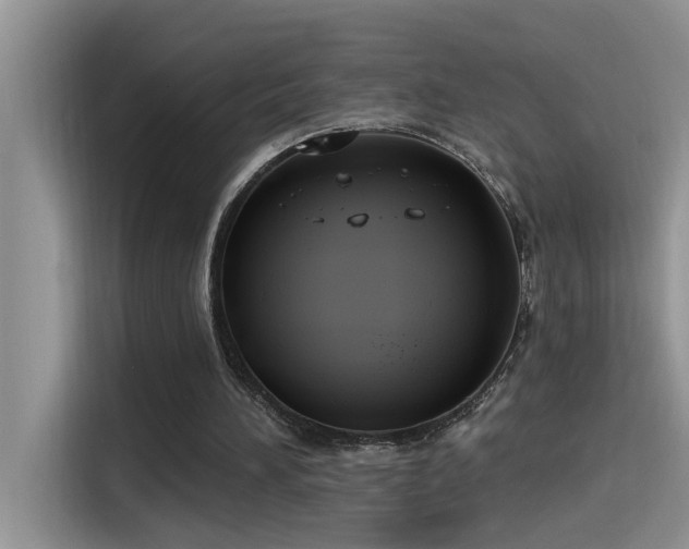 X0000115630196200911171342