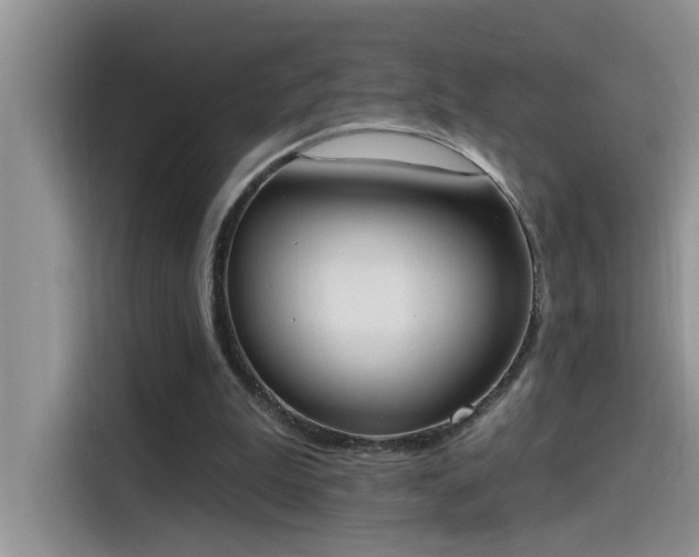 X0000115630199200911171342