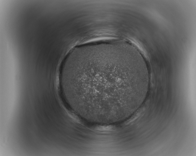 X0000115630202200911171342