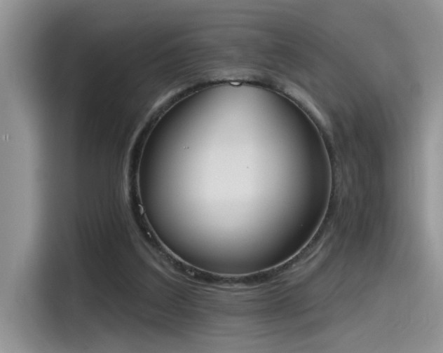 X0000115630203200911171342