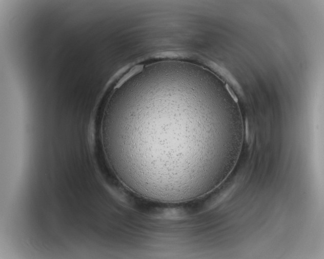 X0000115630204200911171342