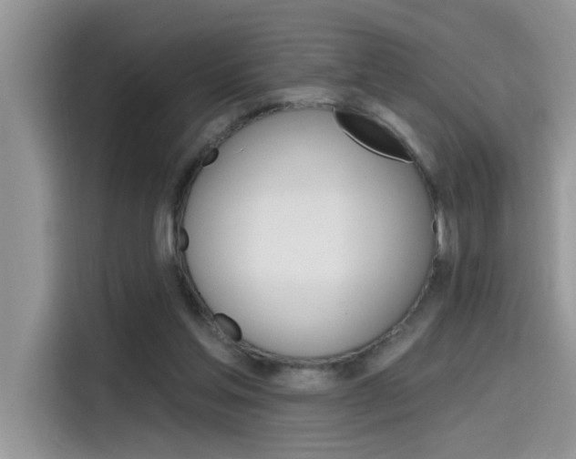 X0000115630205200911171342