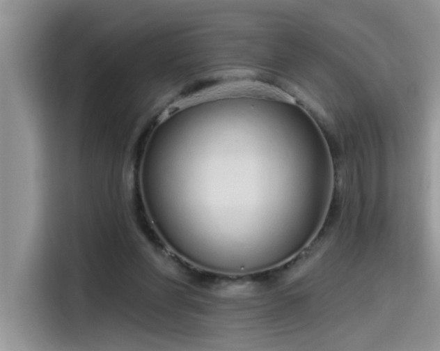 X0000115630206200911171342