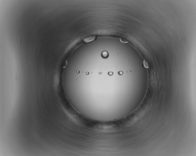 X0000115630208200911171342