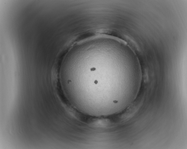 X0000115630210200911171342