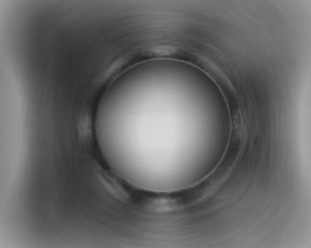 X0000115630212200911171342