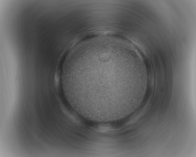 X0000115630214200911171342