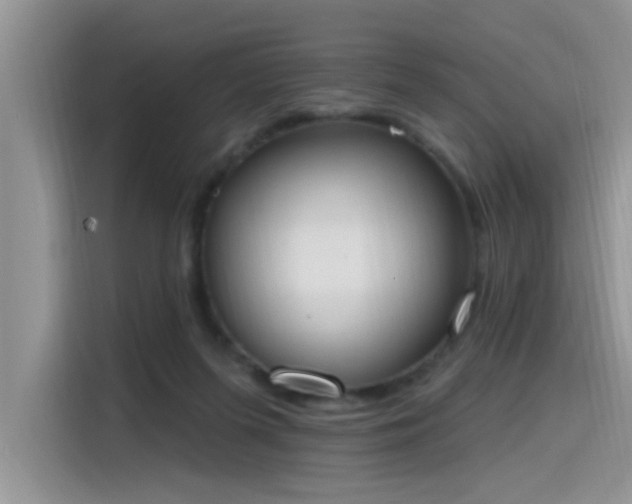 X0000115630215200911171342